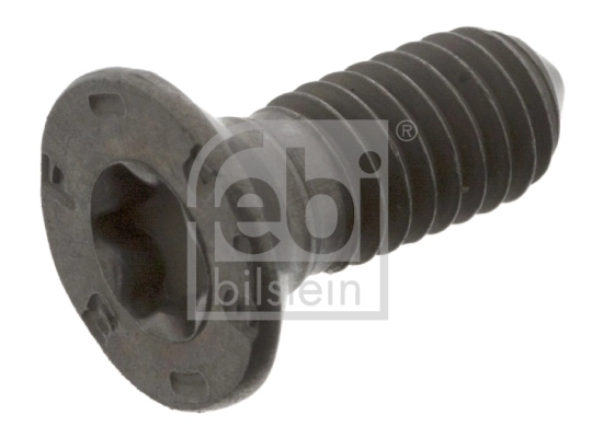 Bolt, brake disc